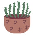 Potted green succulent plants in brown planter. Simple flat style indoor houseplants vector illustration