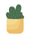 Potted hedge semi flat color vector object