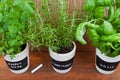 Potted herbs with labels Royalty Free Stock Photo