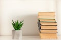 Potted house plant cactus succulent in gray pots and stack of books on white shelf against white wall. Cozy home modern decor in Royalty Free Stock Photo