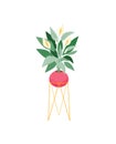 Potted house plant vector icon. Spathiphyllum flowering plant on stand. Indoor plant with beautiful tropical foliage.