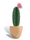 Potted houseplant echinopsis vector illustration. Succulent in flat modern style. Isolated on white background