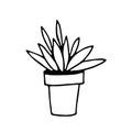 Potted houseplant hand drawn in doodle style. element graphic scandinavian hygge monochrome minimalism simple. cozy home, interior