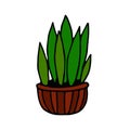 Potted houseplant hand drawn in doodle style. element vector graphic simple. cozy home, interior, plant, flower, pot, gardening.