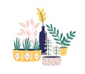 Potted houseplants flat vector illustration. Succulents, flowers and green herbs for home decoration isolated on white