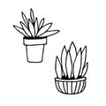 Potted houseplants set hand drawn in doodle style. collection of elements vector scandinavian hygge monochrome minimalism simple.