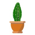 Potted nice cactus vector isolated on white background