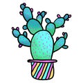 Potted nopales cactus plant