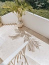 A potted palm tree casts a shadow