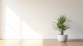 Minimalist Living Room With White Walls And Potted Plant