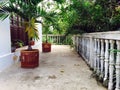 POTTED PALM TREES ON PORCH, YUNGUILLA VALLEY ECUADOR Royalty Free Stock Photo