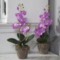 Potted pink artificial orchid on black table