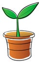 Potted plant