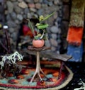 Potted Plant in Faerie House