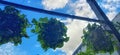 Potted plant hanging on a wood with cloudy blue sky katar