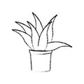 Potted plant icon image