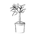 Potted plant icon image