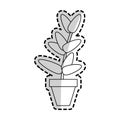 Potted plant icon image