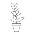 Potted plant icon image