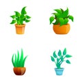 Potted plant icons set cartoon vector. Beautiful indoor plant