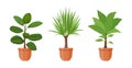 Potted plant. Set of houseplants and flowers in pot in flat style. Vector illustration Royalty Free Stock Photo