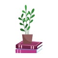 Potted plant on stack books isolated icon white background Royalty Free Stock Photo