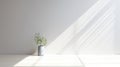 Potted plant in sunlight, casting long shadows on a wall.