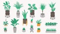 Potted plants collection in a loft style. Set of house indoor plant vector