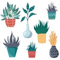 potted plants collection. succulents and house plants. hand drawn vector art. Home garden, growing plants, happy