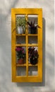 Potted plants creatively placed on wall