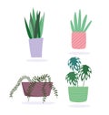 Potted plants decoration botanical interior isolated design