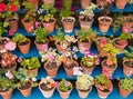 Garden Plants in Pots Royalty Free Stock Photo