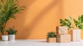 Potted plants and eco-friendly gift boxes on an orange background Royalty Free Stock Photo