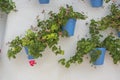 potted plants and flowers on the streets of Marbella, Malaga Spa Royalty Free Stock Photo