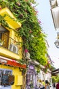 Potted plants and flowers on the streets of Marbella, Malaga Spa Royalty Free Stock Photo