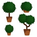Indoor and outdoor landscape garden potted plants isolated on white. Vector set green plant in pot, illustration of flowerpot bloo