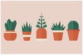 5 potted plants in brown and grown color in flat design, clean and cute, vector illustration