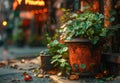 Potted plants and orange pumpkins on the street. A pot of gold coins Royalty Free Stock Photo