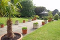 Potted plants and pergola