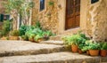 Potted plants on romantic Valldemossa street Royalty Free Stock Photo