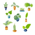 Potted plants set for urban jungle, green home decor Royalty Free Stock Photo