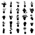 Potted plants silhouettes set Royalty Free Stock Photo