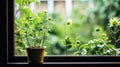 A potted plants are sitting on a window sill in front of green foliage, AI Royalty Free Stock Photo
