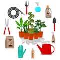 Potted plants surrounded by garden tools. Set of gardening tools, potting soil, various fertilizers in bottles. Vector illustratio