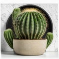 Potted Prickly Beauty: A Cactus in Elegance Against a Light Background