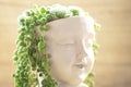 Potted succulent garden.sustainable design aesthetics.sedums and Succulents in a pot in the girls head.groundcover Royalty Free Stock Photo