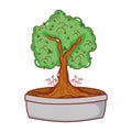 Potted tree bonsai japanese decoration isolated icon