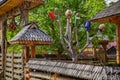 Tree with colored pots, a tradition from Maramures county, Romania. Royalty Free Stock Photo