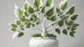 A potted tree with whiteedged leaves Royalty Free Stock Photo