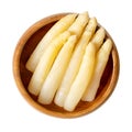 Potted white asparagus tips, blanched asparagus shoots in a wooden bowl Royalty Free Stock Photo